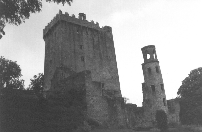 ireland blarney caltle 01.jpg